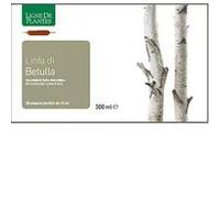 Ligne de Plantes Ampolle bevibili Linfa di betulla biologico 20 ampolle da 15 ml