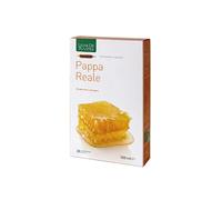 PAPPA REALE 20ABX15ML