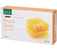 PAPPA REALE BIO 20AMPOLLE