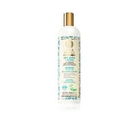 Natura Siberica Menta Abedul Retinolo Shampoo Professionale Capello Grasso 400 ml - Shampoo