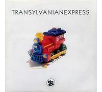 NATURAL BORN GROOVES - NATURAL BORN GROOVES / TRANSYLVANIANEXPRESS