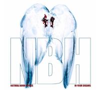 Natural Born Hippies - In Your Dreams