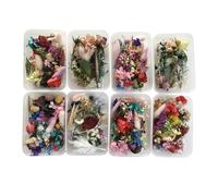 Natural Dried Flower Kit - Pressed Artwork Handcrafts | Multicolor Leaves & Herbs | DIY Bastelmaterial Für Scrapbook, Fotoalbum, Karten, Resin Schmuck & Geschenkverpackung