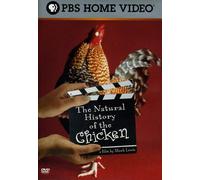 Natural History Of The Chicken [Edizione: Stati Uniti]