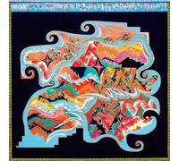 Natural Information Society Since Time Is Gravity (Vinyl LP) 12" Album