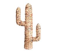 NATURAL LIVING Cactus in giacinto d'acqua 80 x 45 x D15 cm