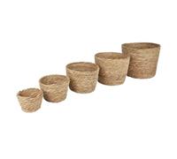 NATURAL LIVING Set di 5 coprivasi per erba di JONC D12 cm, 14 cm, 16 cm, 18 cm, 20 cm