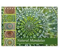 Natural Mandalas - Kraftvolle KI Mandalas aus Naturmaterialien (Tischkalender 2026 DIN A5 quer), CALVENDO Monatskalender: Harmonie und Kraft mit Mandalas aus Naturmaterialien.