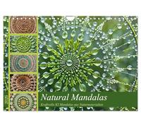 Natural Mandalas - Kraftvolle KI Mandalas aus Naturmaterialien (Wandkalender 2026 DIN A4 quer), CALVENDO Monatskalender: Harmonie und Kraft mit Mandalas aus Naturmaterialien.