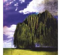 Natural Order of Things