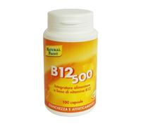 Natural Point B12 500 100 Capsule