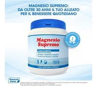 NATURAL POINT MAGNESIO SUPREMO SOLUBILE 300 GR