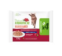 Natural Trainer Flowpack Adult (4x85 gr): Salmone