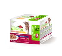 Natural Trainer Adult - 12 x 85 g: Mix: Pollo & Salmone