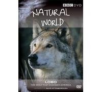 Natural World - Lobo: The Wolf that Changed America [Edizione: Regno Unito]