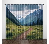 Naturale 3D Tende da 2 Pannelli Ombreggiatura 110L x 215A CM Montagne Innevate Giungla Sentiero Poliestere Isolamento Termico Tenda per Finestra per Camera da Ietto Soggiorno Cucina Sala Giochi