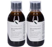 Naturalsalus IS2/ANTOXI PLUS Flacone 2x200 ml Soluzione orale