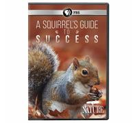 NATURE: A Squirrel's Guide to Success DVD (DVD)