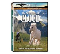 Nature - Adventures of Cloud