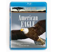Nature: American Eagle