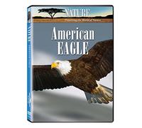 Nature:American Eagle - Nature: American Eagle