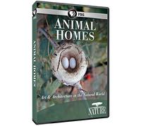 Nature: Animal Homes (DVD)