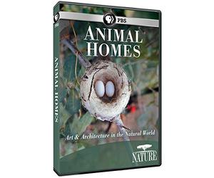 Nature: Animal Homes