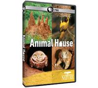 Nature-Animal House
