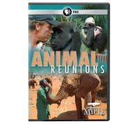 NATURE: Animal Reunions DVD (DVD)