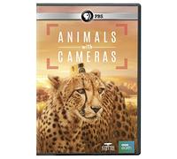 Nature: Animals With Cameras
