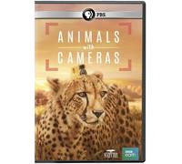 NATURE: Animals With Cameras DVD (DVD)