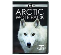 NATURE: Arctic Wolf Pack DVD (DVD)