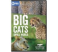 NATURE: Big Cats, Small World (DVD) David Oyelowo