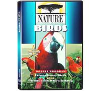 Nature - Birds