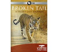 Nature: Broken Tail - A Tiger's Last Journey