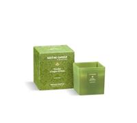 NATURE CANDLE by Bonturi Casa - Candele profumate 330 g - Poudre e Legno di Rosa