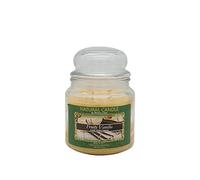 NATURE CANDLE candela profumata 100% cera vegetale - Giara 380g Fruity Vanilla