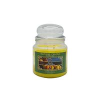 NATURE CANDLE candela profumata 100% cera vegetale - Giara 380g Sicily