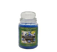 NATURE CANDLE candela profumata 100% cera vegetale - Giara 580g Blueberry Ice