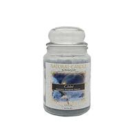 NATURE CANDLE candela profumata 100% cera vegetale - Giara 580g Chloé