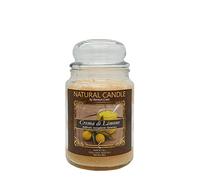 NATURE CANDLE candela profumata 100% cera vegetale - Giara 580g Crema di Limone