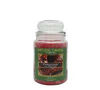 NATURE CANDLE candela profumata 100% cera vegetale - Giara 580g Pomegranate