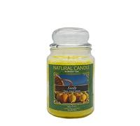 NATURE CANDLE candela profumata 100% cera vegetale - Giara 580g Sicily