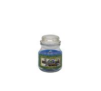 NATURE CANDLE candela profumata 100% cera vegetale - Giara 90g Blueberry Ice