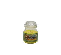 NATURE CANDLE candela profumata 100% cera vegetale - Giara 90g Sicily