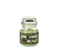 Nature Candle Candela Profumata Coconut&Mint, 100% Cera Vegetale, 90 g