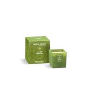 Nature Candle Linea Le Preziose - Candele profumate 210 g - Eucalipto e Pino Nero