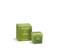 Nature Candle Linea Le Preziose - Candele profumate 210 g - Vetiver e Legno di Credo