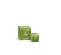 Nature Candle Linea Le Preziose - Candele profumate 90 g - Ribes Nero e Frutti Rossi