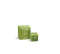 Nature Candle Linea Le Preziose - Candele profumate 90 g - Vetiver e Legno di Credo